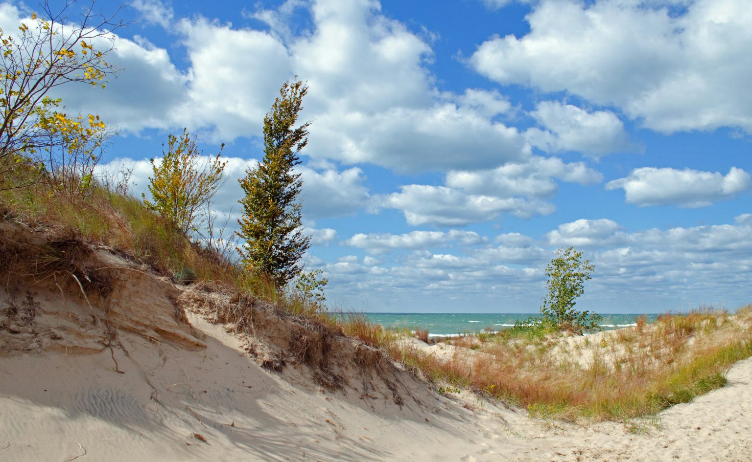 Sand dunes and shoreline overlooking Lake Michigan at Sleeping Bear Dunes